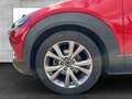 Mazda CX-30 G 150 PS 6GS SELECTION A18 DES-P PRE-P Rojo - thumbnail 6