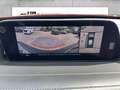 Mazda CX-30 G 150 PS 6GS SELECTION A18 DES-P PRE-P Rojo - thumbnail 10
