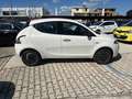 Lancia Ypsilon 1.0 FireFly 5 porte S&S Hybrid Platino Bianco - thumbnail 8