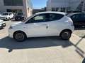 Lancia Ypsilon 1.0 FireFly 5 porte S&S Hybrid Platino Bianco - thumbnail 4