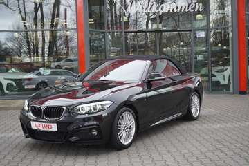 220i M Sport Aut. Bi-Xenon Navi Sportsitze PDC