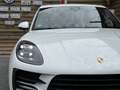 Porsche Macan Pano Navi SHZ LED Kamera Bianco - thumbnail 5