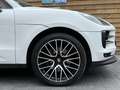 Porsche Macan Pano Navi SHZ LED Kamera Bianco - thumbnail 10