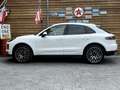 Porsche Macan Pano Navi SHZ LED Kamera Bianco - thumbnail 17