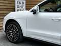 Porsche Macan Pano Navi SHZ LED Kamera Bianco - thumbnail 9
