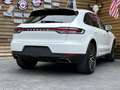 Porsche Macan Pano Navi SHZ LED Kamera Blanc - thumbnail 15