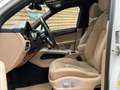 Porsche Macan Pano Navi SHZ LED Kamera Bianco - thumbnail 18