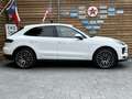 Porsche Macan Pano Navi SHZ LED Kamera Bianco - thumbnail 16