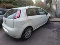 Fiat Punto Evo Punto Evo perfetta ok neopatentati - thumbnail 1