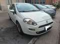Fiat Punto Evo Punto Evo perfetta ok neopatentati - thumbnail 3