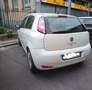 Fiat Punto Evo Punto Evo perfetta ok neopatentati - thumbnail 2