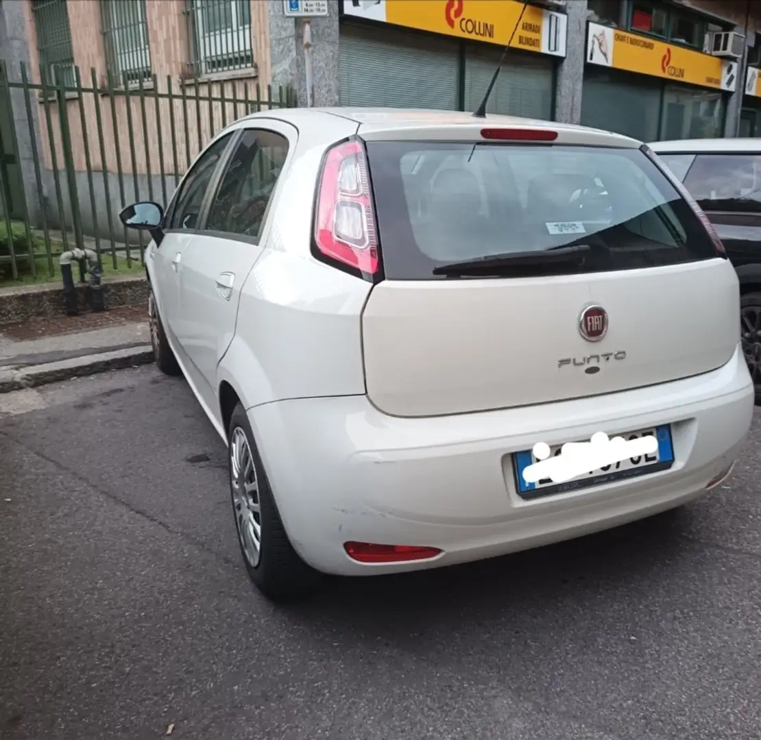 Fiat Punto Evo Punto Evo perfetta ok neopatentati - 2