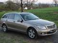 Mercedes-Benz C 220 C-Klasse T-Modell Diesel T CDI DPF Automatik BlueE Gold - thumbnail 1