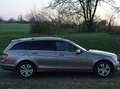 Mercedes-Benz C 220 C-Klasse T-Modell Diesel T CDI DPF Automatik BlueE Gold - thumbnail 2