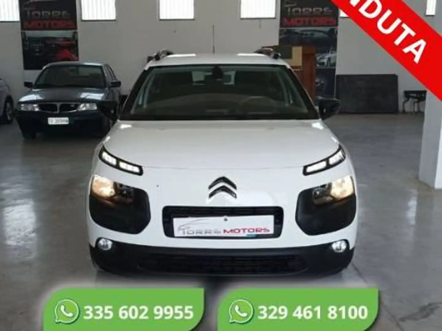 Citroen C4 C4 Cactus 1.6 bluehdi Shine 100cv Bianco - 1