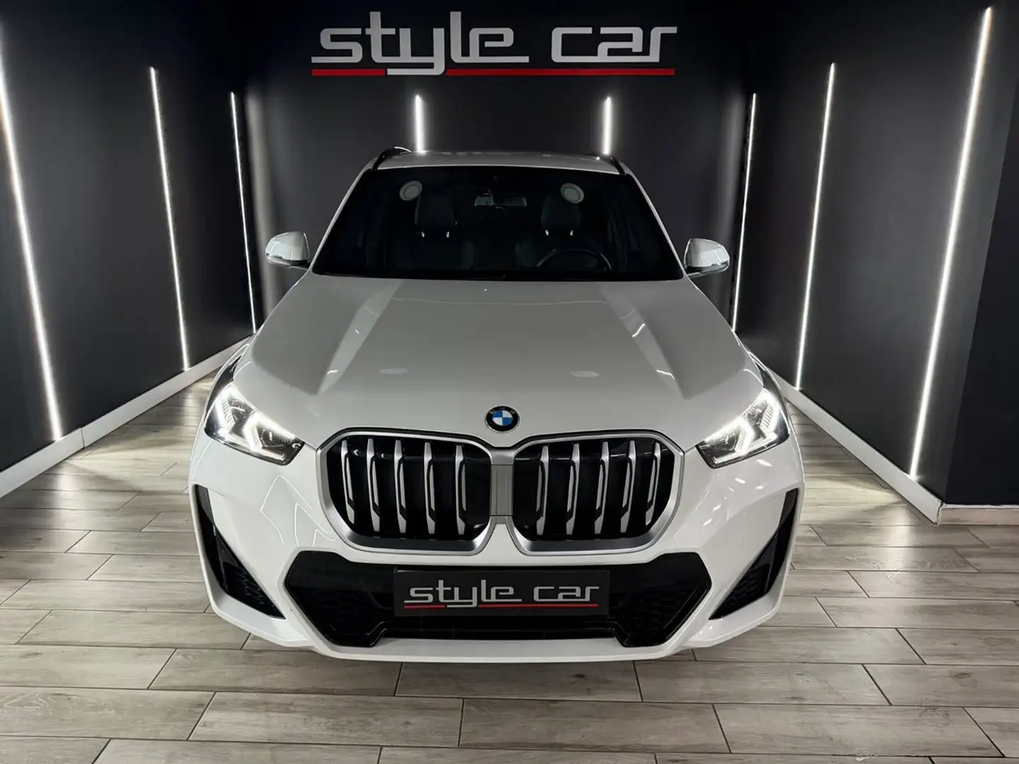 BMW X1 sDrive20d Blanco - 2
