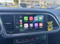 SEAT Leon 1.4 benzina e metano 110cv EURO6 2017 - thumbnail 11