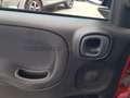 Fiat Panda Panda 1.0 firefly hybrid Cross s&s 70cv 5p.ti Rosso - thumbnail 13