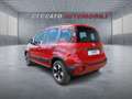 Fiat Panda Panda 1.0 firefly hybrid Cross s&s 70cv 5p.ti Rosso - thumbnail 3