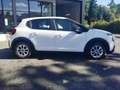 Citroen C3 1.5 BlueHDi 100ch S\u0026S BVM 6 Feel Business R Blanc - thumbnail 5