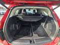 Kia Sorento 1,6 T-GDI Plug-In Hybrid GPF AWD Gold Aut. 7 Si... Rot - thumbnail 23