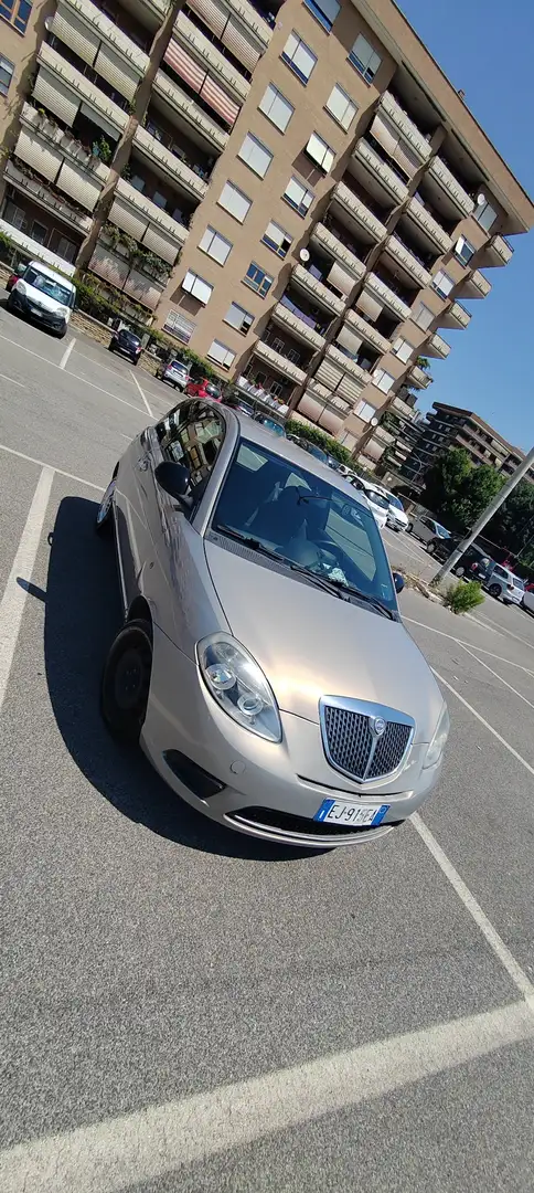 Lancia Ypsilon 1.2 8v Platinum 69cv - 2
