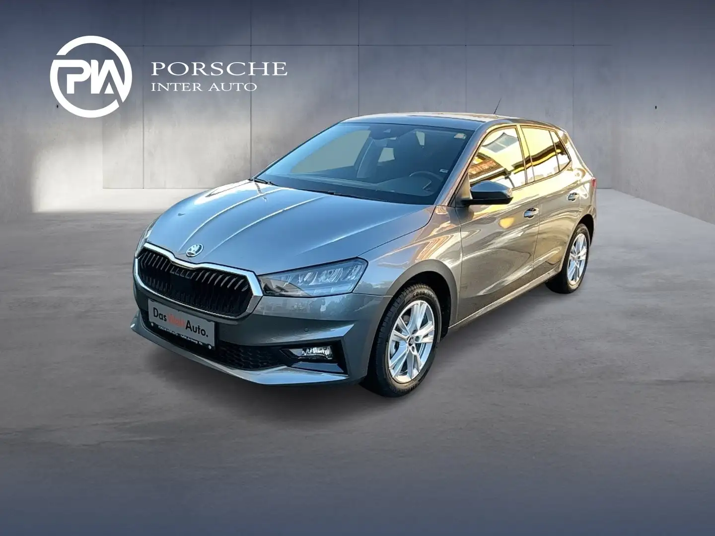 Skoda Fabia Selection TSI Grau - 1