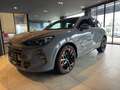 CUPRA Terramar VZ 2.0 TSI 265 PS DSG 4Drive Grau - thumbnail 1