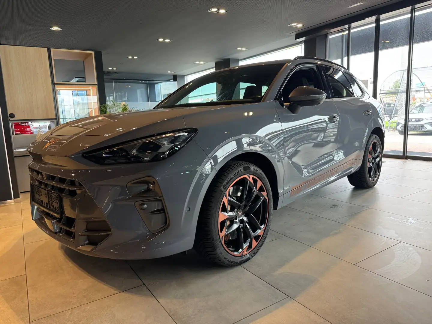 CUPRA Terramar VZ 2.0 TSI 265 PS DSG 4Drive Grau - 1