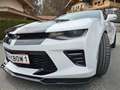 Chevrolet Camaro Camaro V8 Cabrio Aut. 2SS Weiß - thumbnail 23