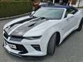 Chevrolet Camaro Camaro V8 Cabrio Aut. 2SS Weiß - thumbnail 24