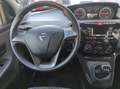 Lancia Ypsilon Ypsilon 1.0 firefly hybrid Gold s&s 70cv * PROMO Alb - thumbnail 11