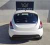 Lancia Ypsilon Ypsilon 1.0 firefly hybrid Gold s&s 70cv * PROMO Alb - thumbnail 5