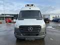 Mercedes-Benz Sprinter 315 CDI Standard Kühlausbau RFK Weiß - thumbnail 3