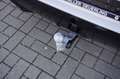 BMW X3 20 xDrive M Sport AHK 360Kamera ACC HeadUp eSitze Grau - thumbnail 20