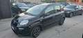 Fiat Panda Panda III 2021 1.0 firefly hybrid City Life s Noir - thumbnail 2