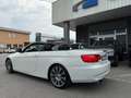 BMW 320 Serie 3 Cabrio 320d Bianco - thumbnail 6