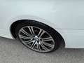 BMW 320 Serie 3 Cabrio 320d Bianco - thumbnail 9