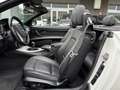 BMW 320 Serie 3 Cabrio 320d Bianco - thumbnail 12