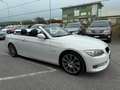 BMW 320 Serie 3 Cabrio 320d Bianco - thumbnail 3