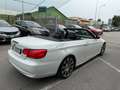 BMW 320 Serie 3 Cabrio 320d Bianco - thumbnail 4