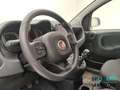 Fiat Panda Panda III 2021 Cross Panda 1.0 firefly hybrid Cro Azul - thumbnail 8