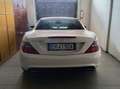Mercedes-Benz SLK 250 SLK Roadster - R172 (cgi be) Premium auto Blanc - thumbnail 4