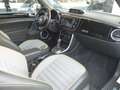 Volkswagen Beetle Cabrio 2.0 TSI Dune DSG 162kW Blanco - thumbnail 10