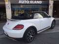 Volkswagen Beetle Cabrio 2.0 TSI Dune DSG 162kW Blanco - thumbnail 7