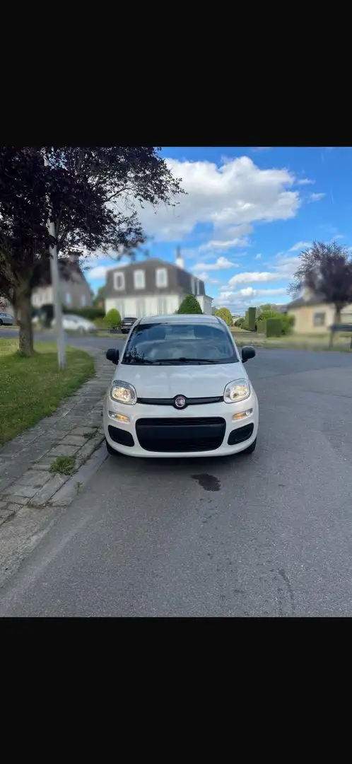 Fiat Panda Panda 1.2 Classic Biały - 1