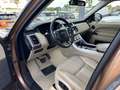 Land Rover Range Rover Sport 3.0TDV6 HSE Dynamic Aut. Brun - thumbnail 5