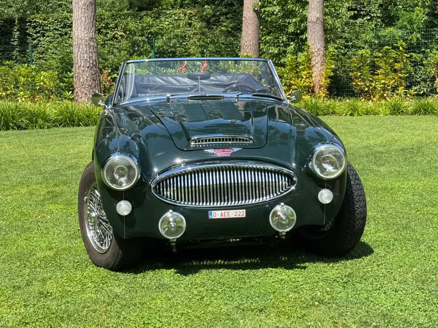 Austin-Healey 3000 Grün - 1