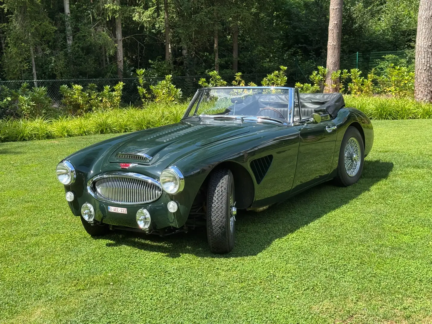 Austin-Healey 3000 Grün - 2