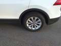 Volkswagen Tiguan 1.6 tdi Business 115cv - thumbnail 5